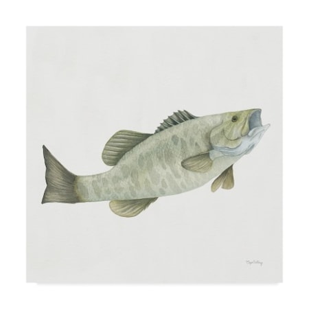 Elyse DeNeige 'Gone Fishin Small Mouth' Canvas Art,14x14